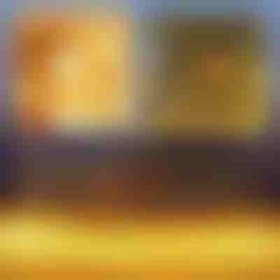 Praznična LED svetlosna mreža | LUMONET