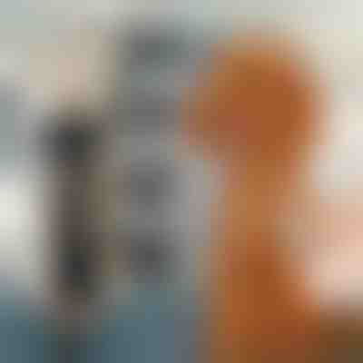 Nečujna mašinica za šišanje kućnih ljubimaca | GULAMACHINE