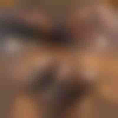 Neuništive termoizolovane papuče od kože | NOBLEFEET