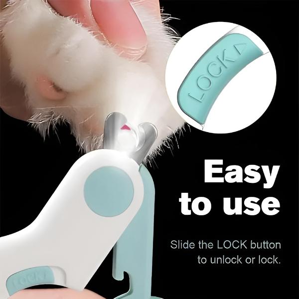 PAWSOME20463