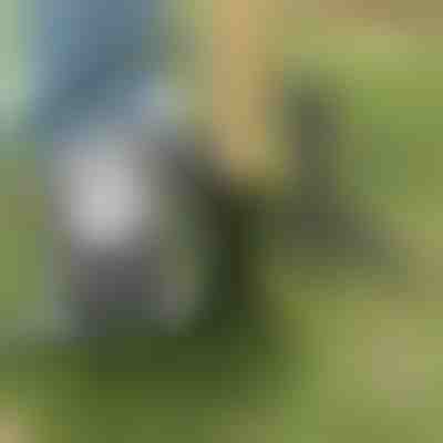 Alat za uklanjanje korova | ROOTNIK