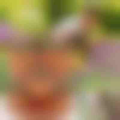 Vaze za cveće koje se mogu slagati (3x komada) | PLANTUP