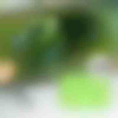 Brisač prozora automobila