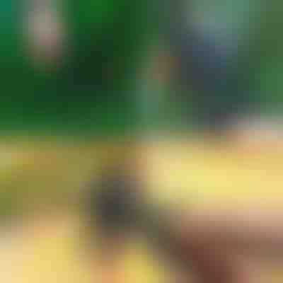 Makaze za lako orezivanje i kalemljenje | MASTERCUT