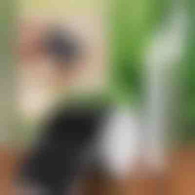 Etikete sa markerom | LABIES