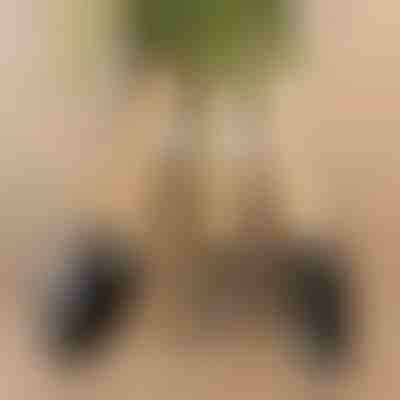 3x mini alati za baštu | MINITOOL