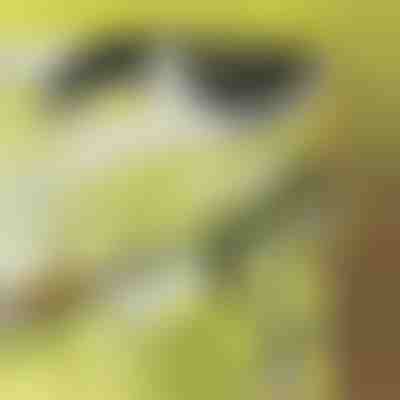 Zamenljiva oštrica | SNIPLUS