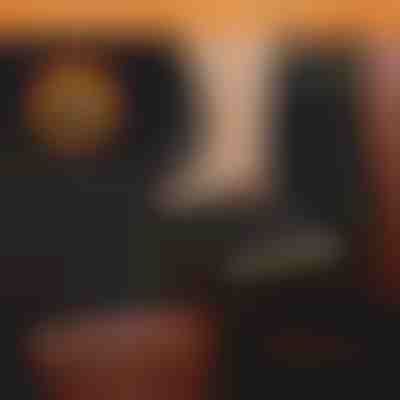 Nepromočiva navlaka za zadnje sedište automobila za pse | CARIPET